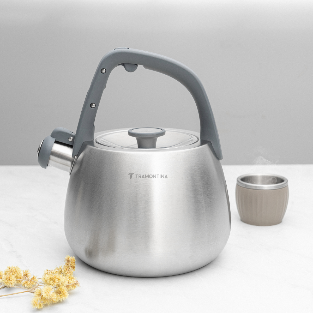 Tramontina Stainless Steel 2.5 L Kettle, Nylon