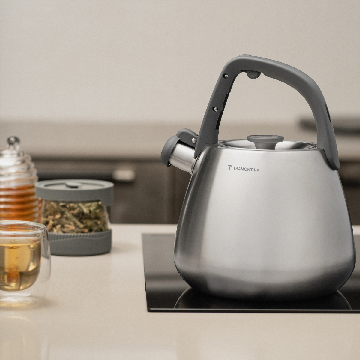 Tramontina Stainless Steel 2.5 L Kettle, Nylon