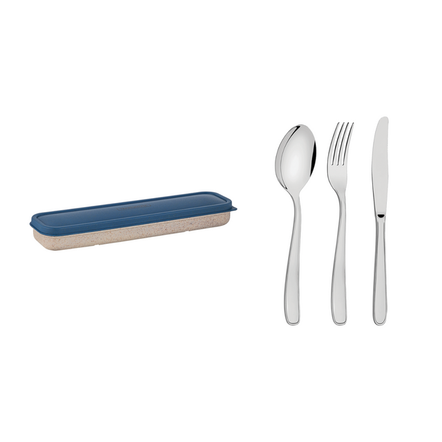 Stainless steel travel utensils set in blue case: spoon, two forks, knife.