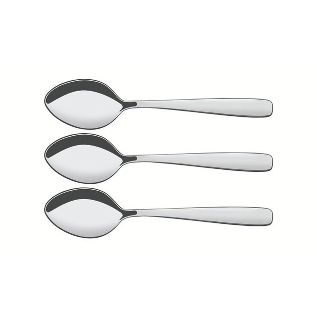 Stainless steel table spoon set of 3, polished serving spoons