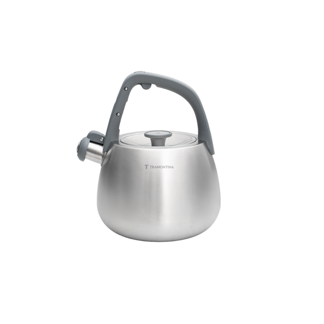 Stainless steel kettle with gray nylon handle and closed lid, front studio view