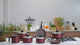 Tramontina Paris Sauce Pan with Lid, Non-stick